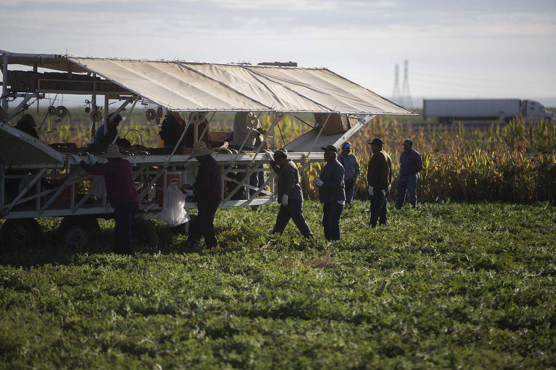 Rising diesel prices pinching profits for CA farmers, spiking costs for ...