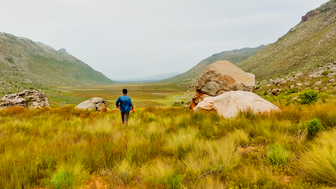 Is the Cederberg one of Africa’s last true wilderness areas?