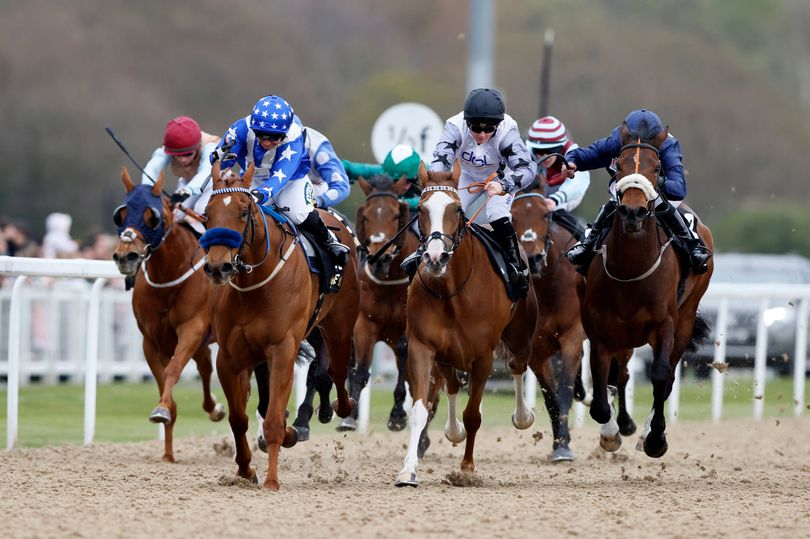 'She is a mare in red-hot form' – Jason Heavey's Tuesday racing tips