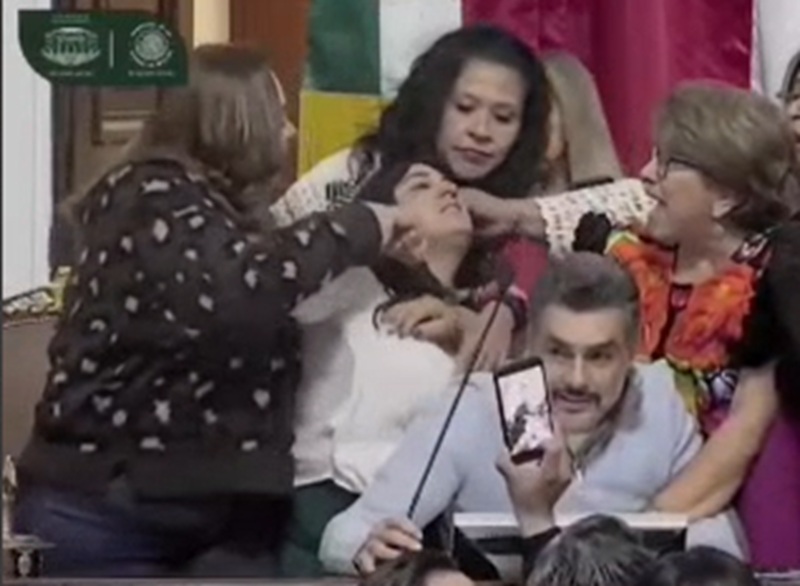 Diputados de Morena y PAN protagonizan pelea en el Congreso de la ...
