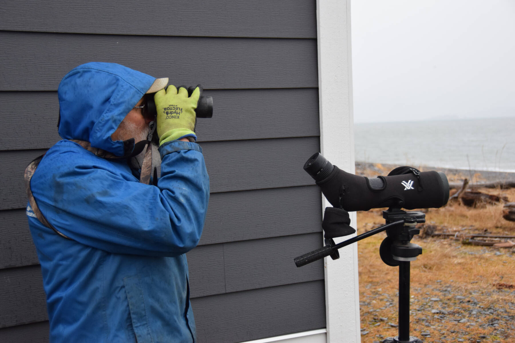 Christmas Bird Count is this weekend
