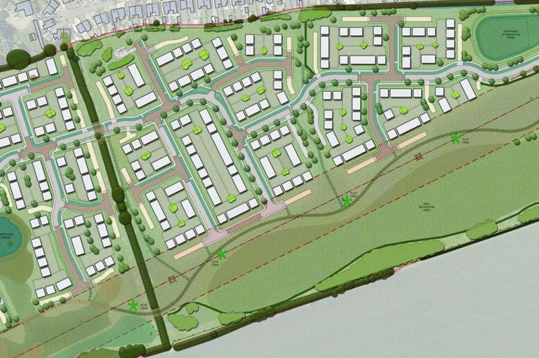 Up to 300 homes could be proposed between New Waltham and Scartho