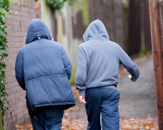 Of the 11,000 children aged 13 to 17 who answered the survey, 2.4% said they had been a member of a gang in the past year. Photograph: Paul Baldesare/Alamy