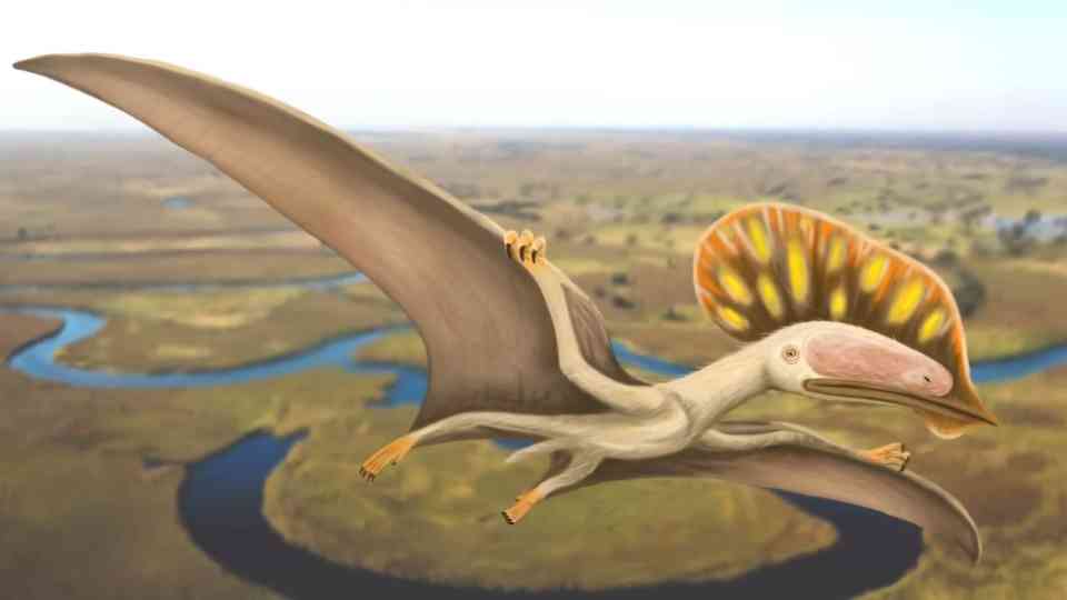 What scientists learned from the first fish-hunting giant of its kind