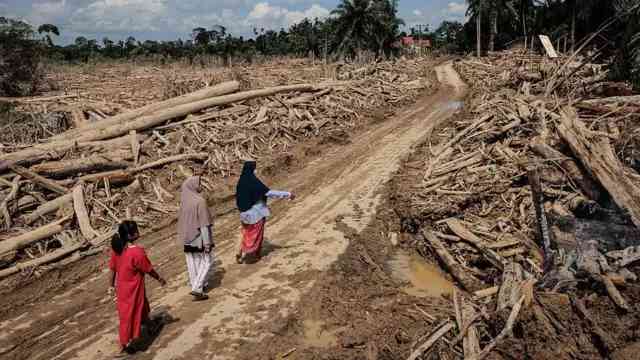 Merawat Bumi Sumatera Pasca Bencana, Ubah Paradigma Pembangunan Nasional