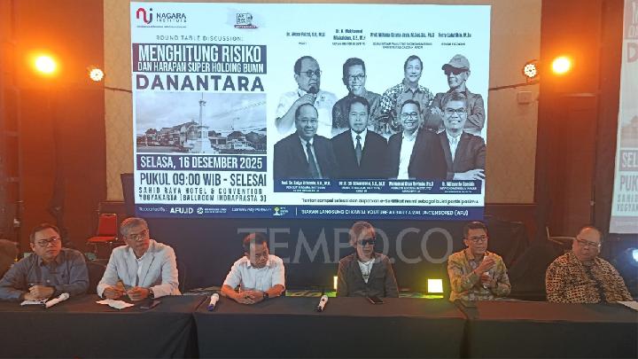 Alasan Struktur Danantara Dianggap Lemah