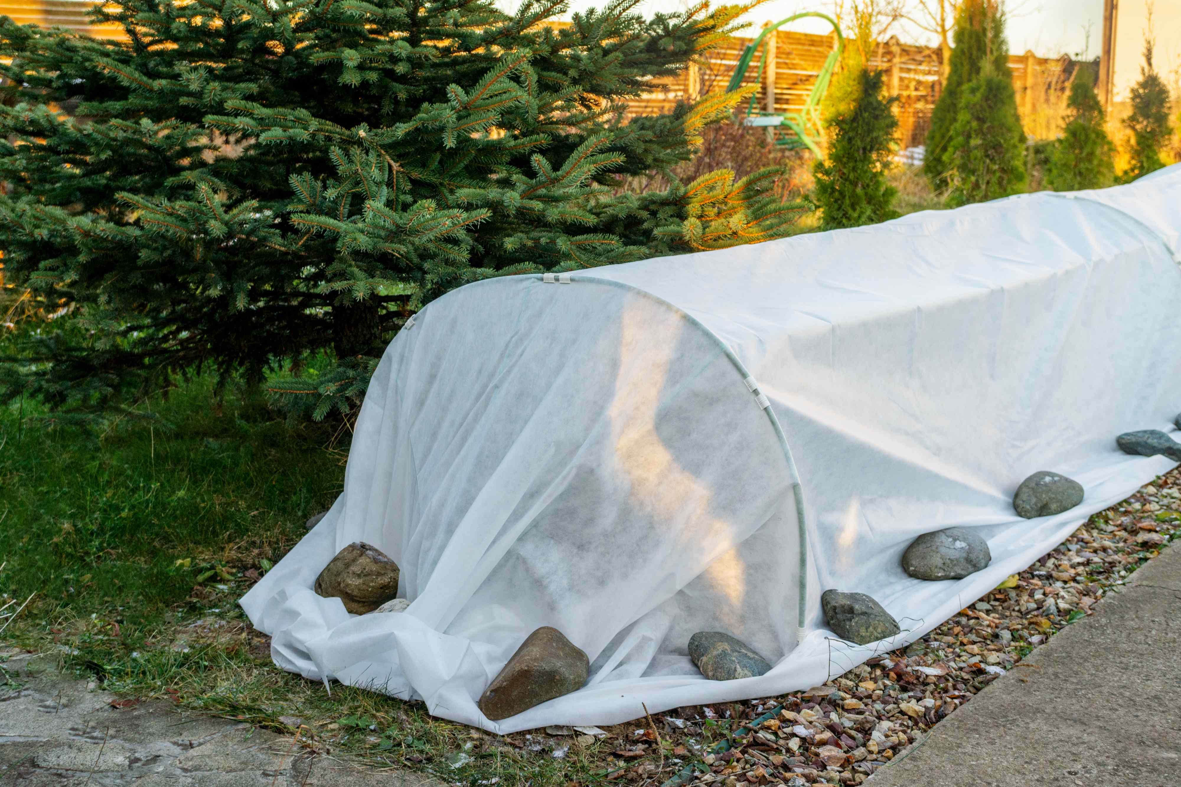 How to protect your plants from frost like a garden pro so they thrive ...