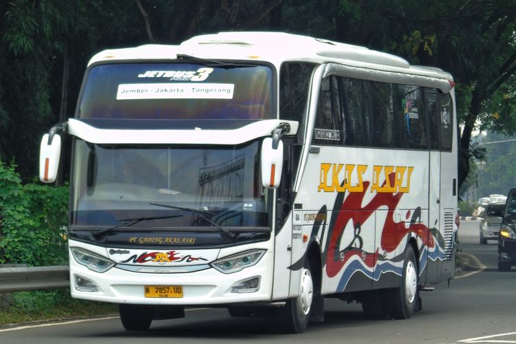 6 Bus Nyaman Probolinggo–Situbondo untuk Perjalanan Praktis di Jalur Pantura Timur