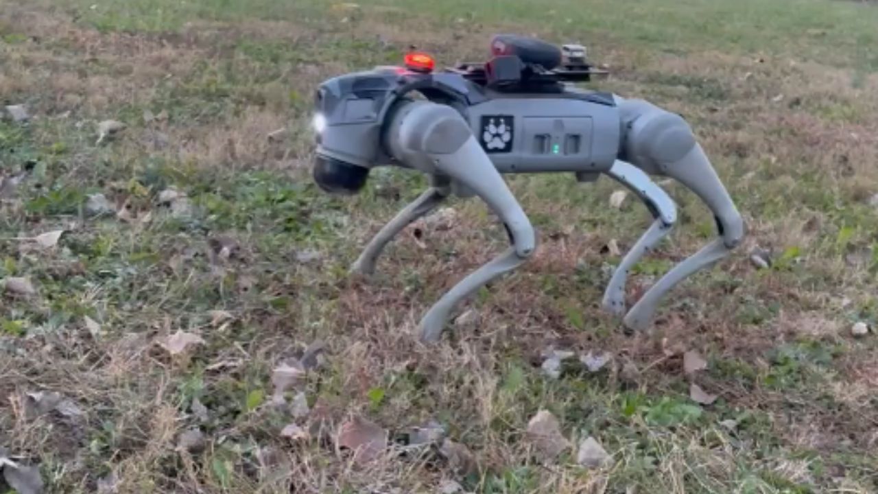 Man interacts with Unitree Go2 Pro robot dog to see if it can obey ...