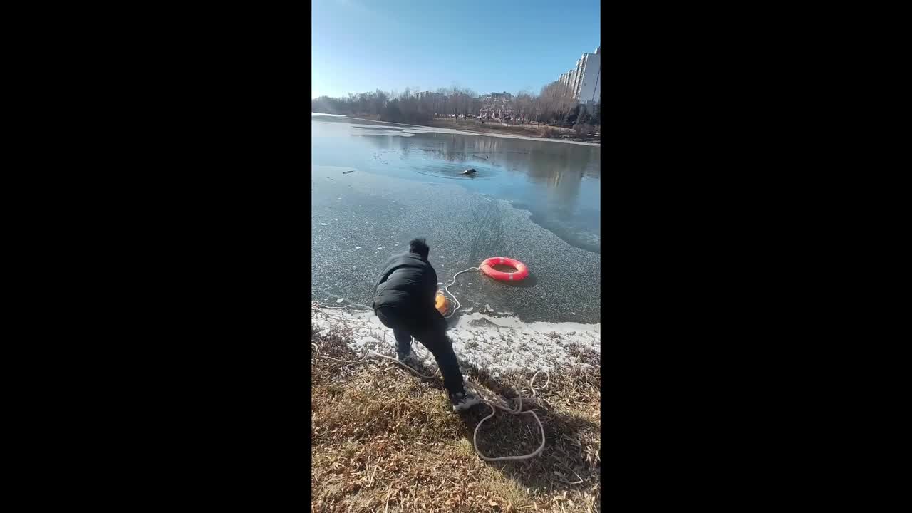 Heroic man tosses lifebuoy onto frozen lake to rescue dog that fell ...