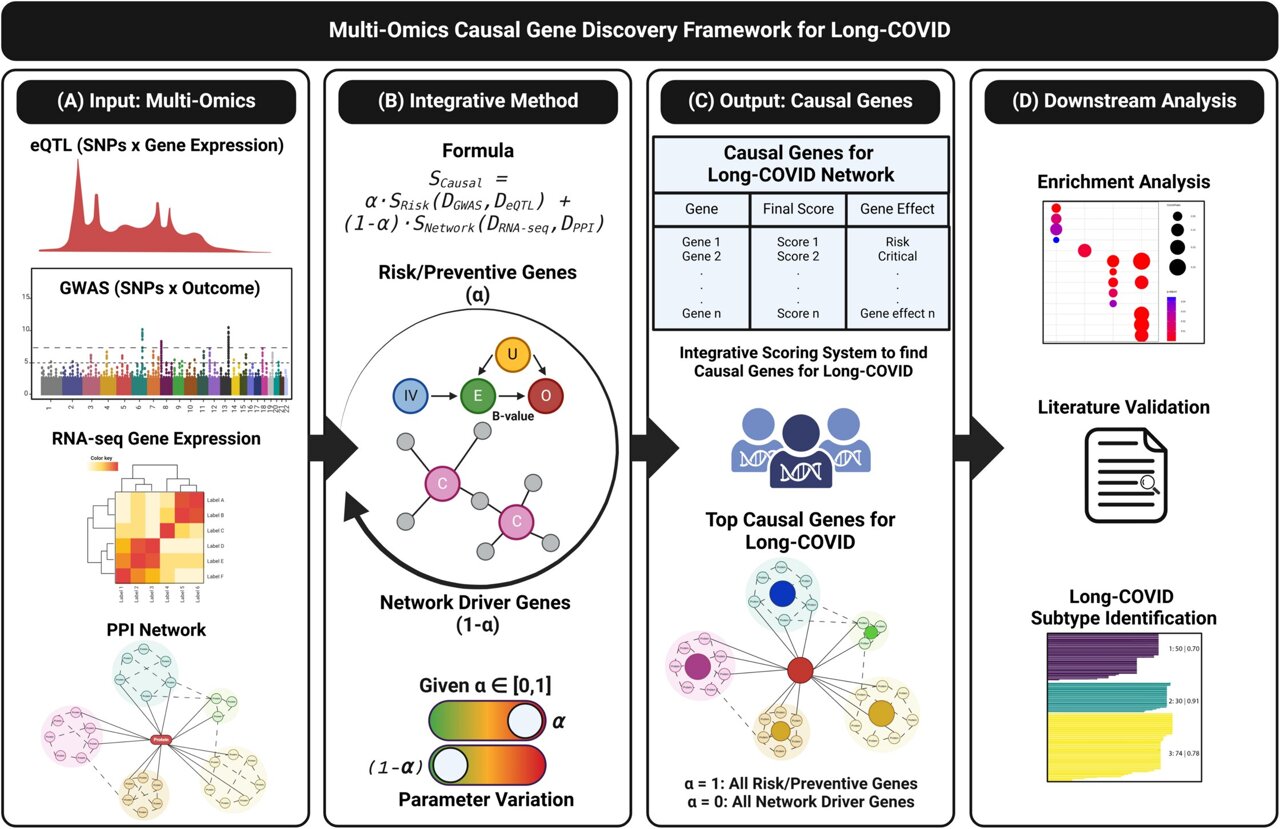 Who is more likely to get long COVID? New study uncovers genetic ...