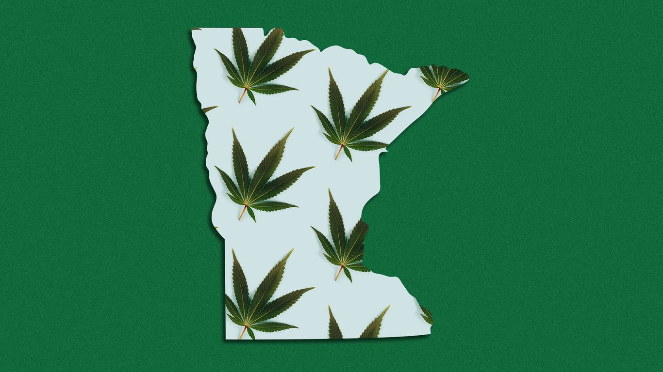 The rush is on to open marijuana dispensaries in Minnesota