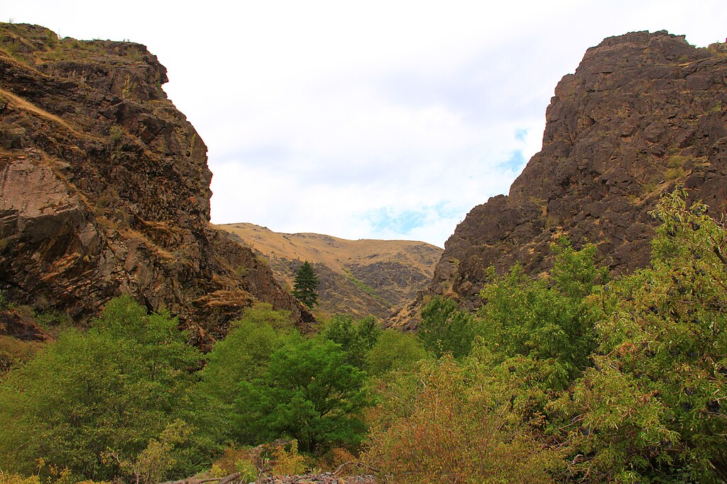 18 natural resources you cannot collect in national parks