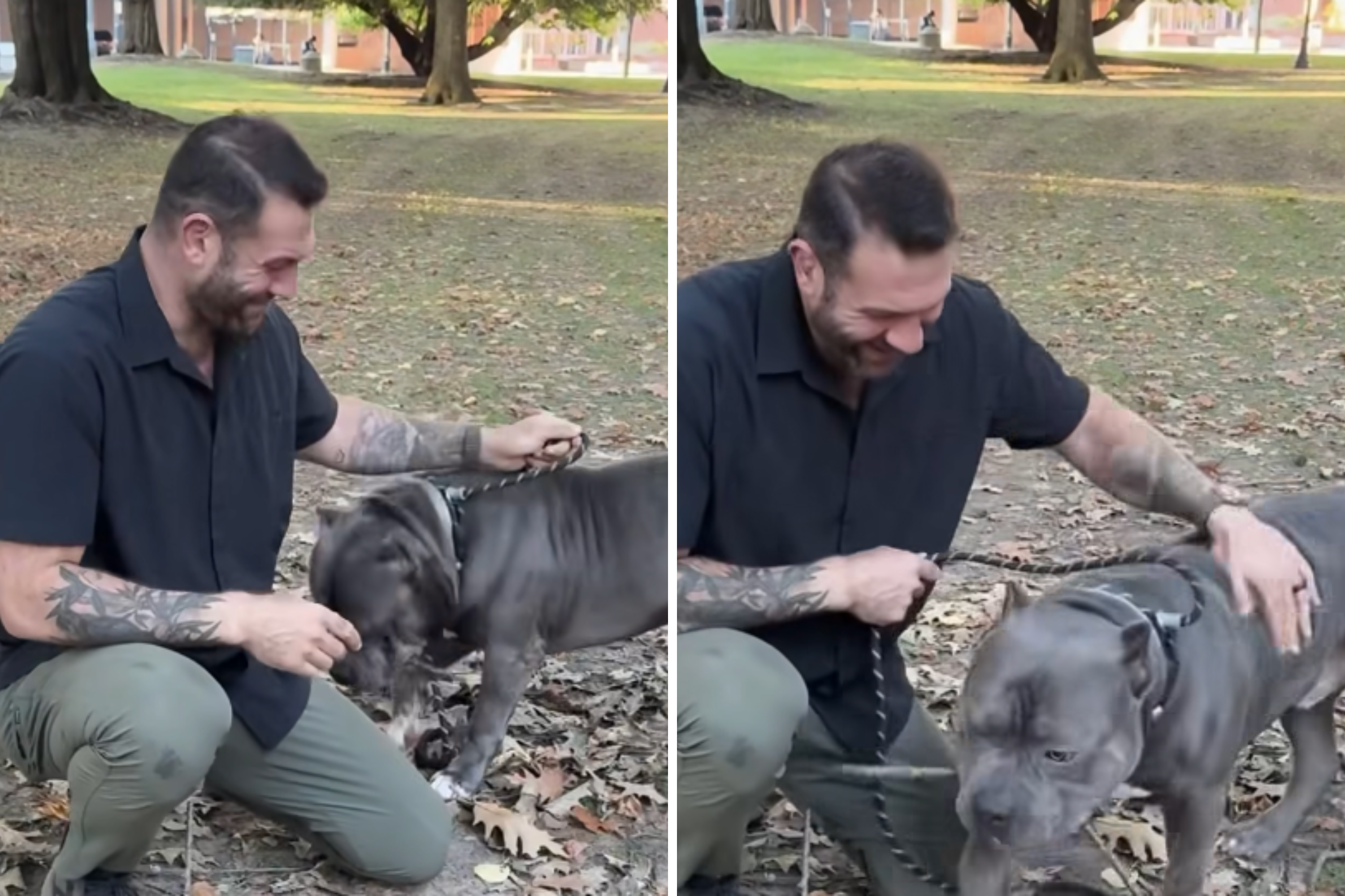 Tears as man adopts dog to ensure he is the happiest boy in the world<br><br>