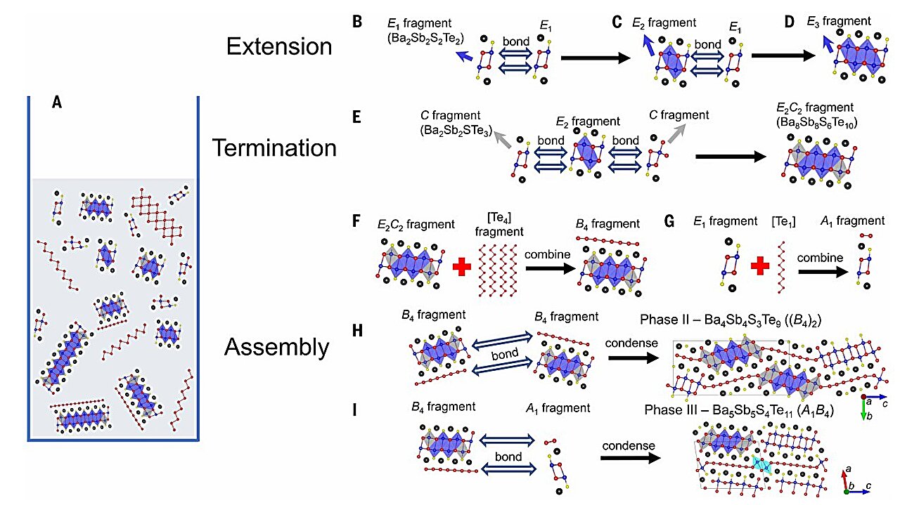 A new family of barium-based crystals reveals rules for structural changes
