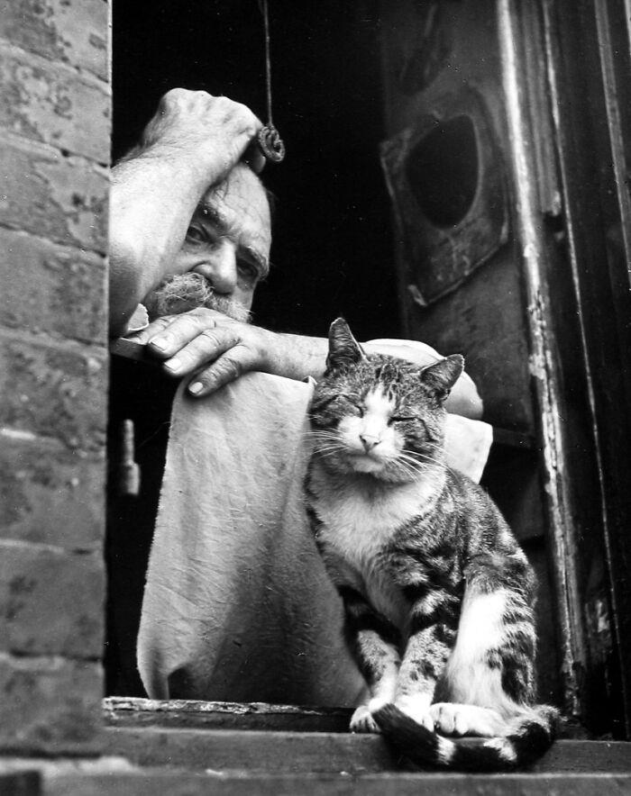 48 fascinating historical photos that might change your perspective on ...