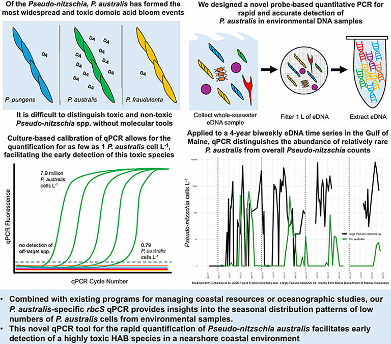 New way to track toxic algae that threaten shellfish industries ...