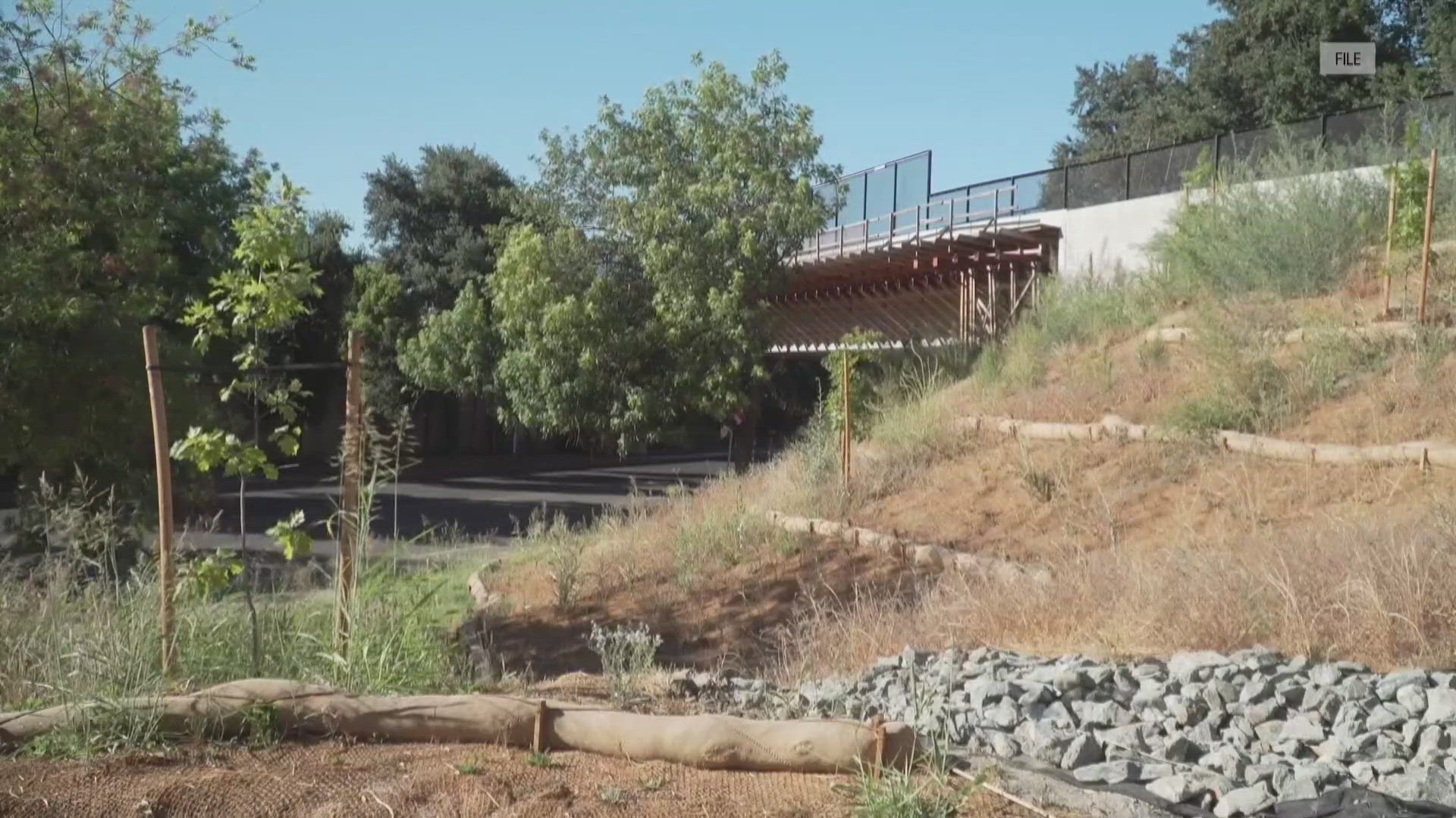 Del Rio Trail Bridge opens today