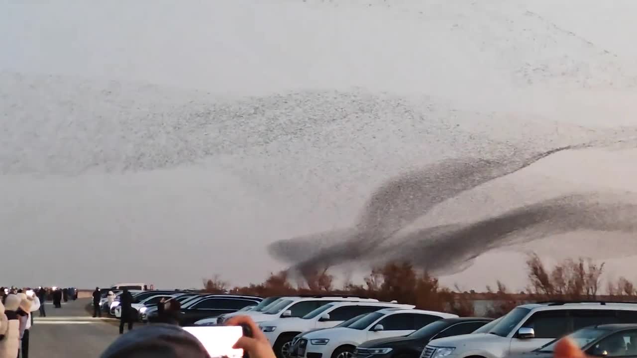 Thousands of migratory birds create stunning murmuration in China