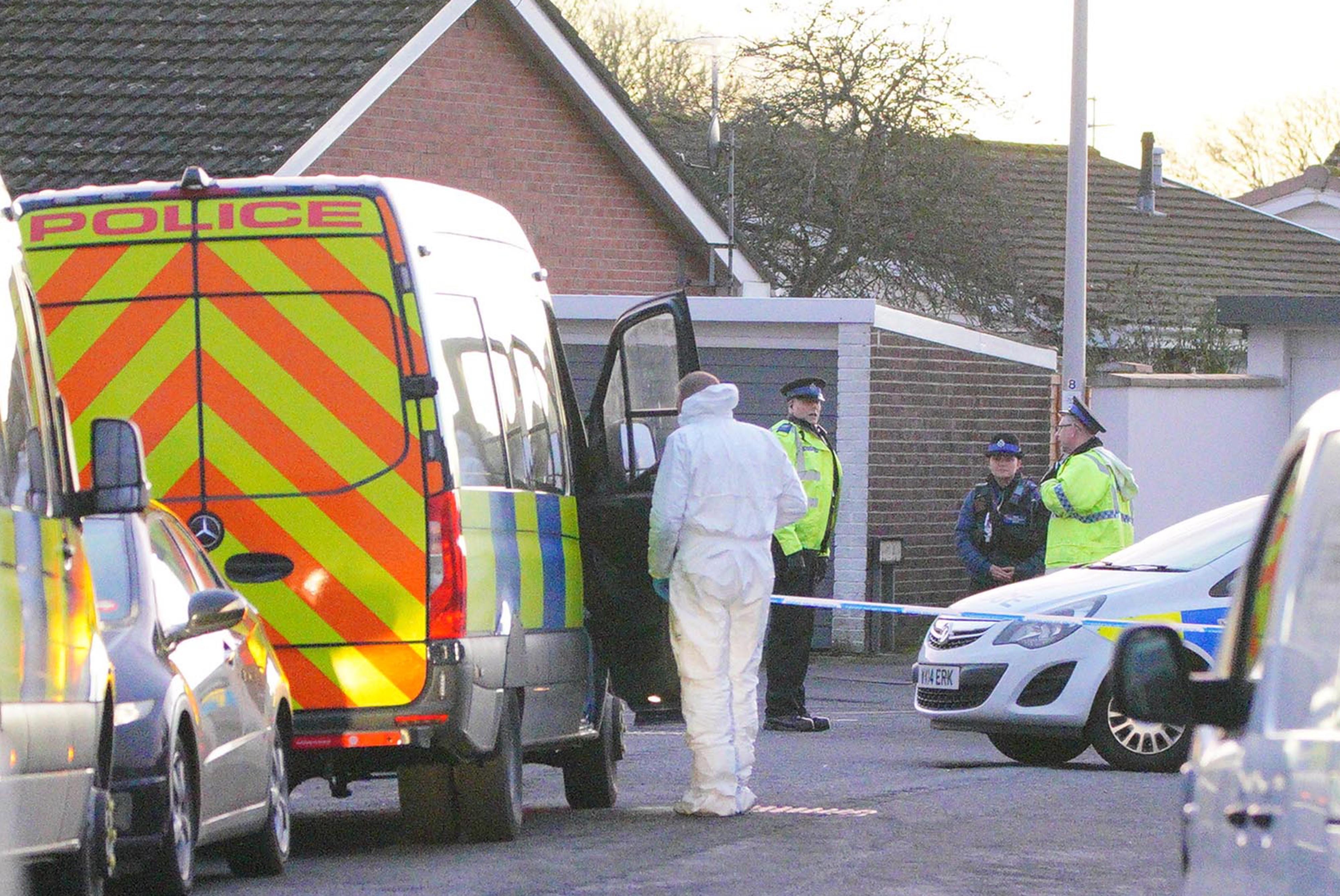 Teenage boy arrested after death of nine-year-old girl