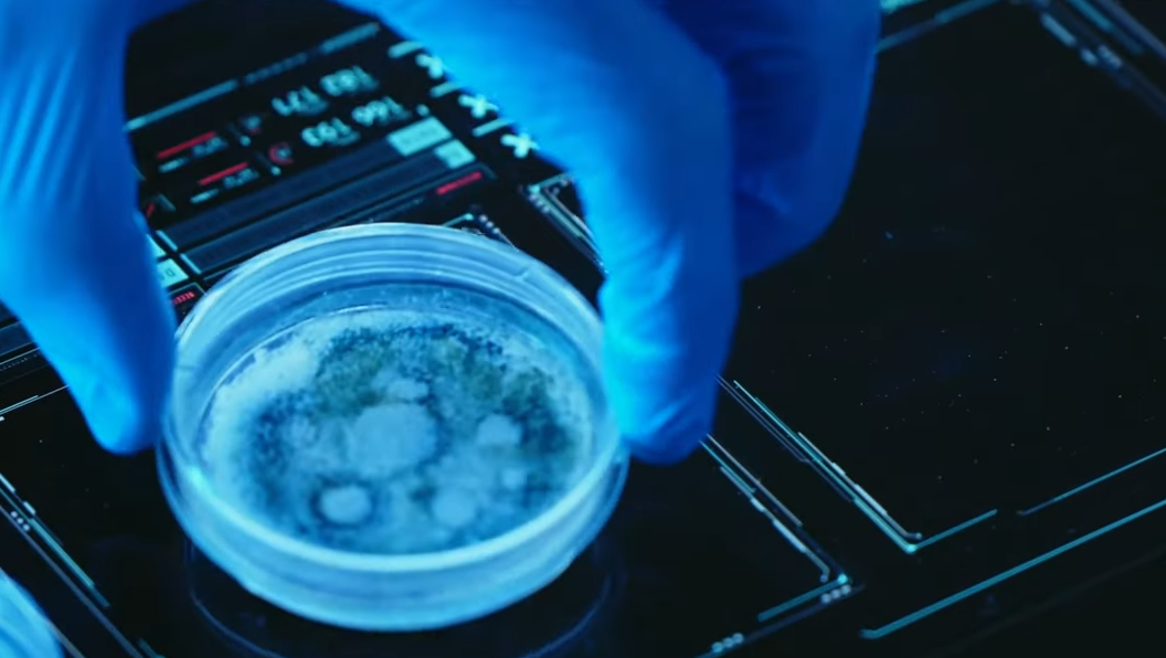 Death was the limit until this experiment