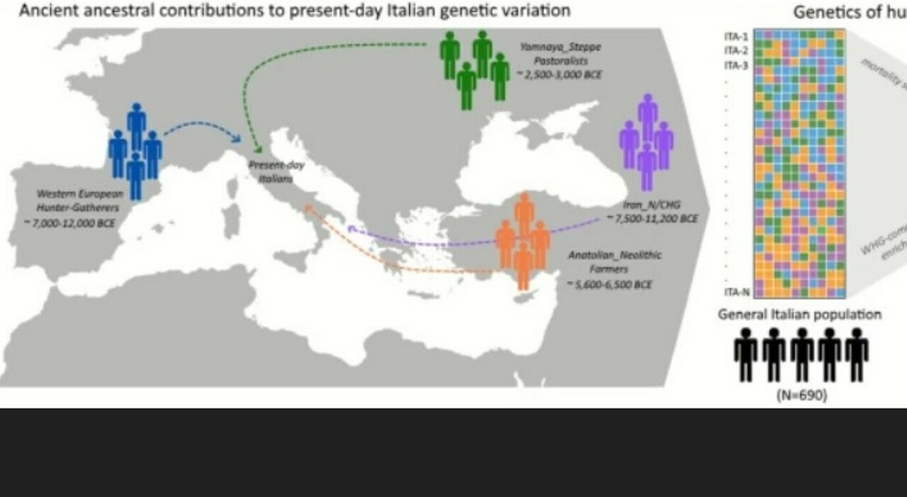 Segreto della longevità, lo studio su 1000 italiani: la verità per ...