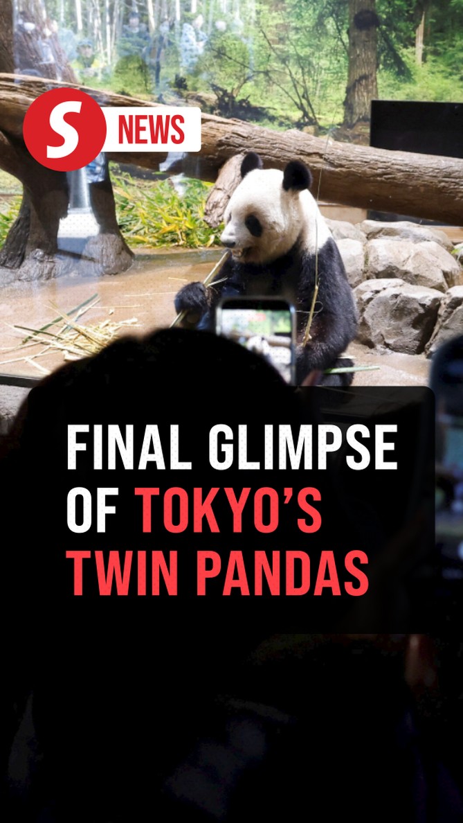 Panda fans flock to Tokyo zoo after Japan announces twins' end-of-era ...