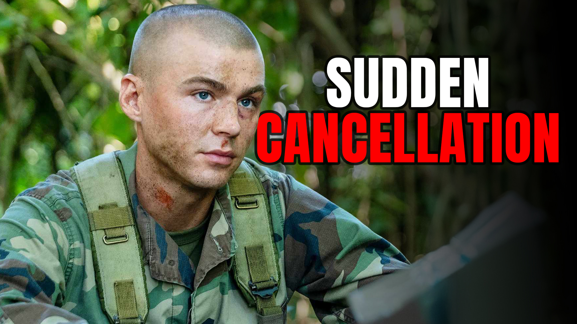Netflix has pulled the plug on one of its most talked-about dramas amid ...