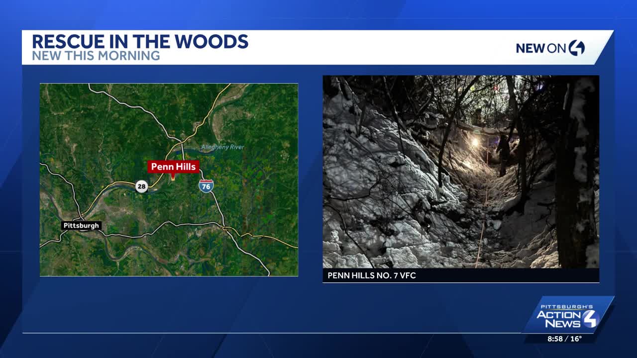 Police pursuit ends with crash and rescue from woods in Allegheny County