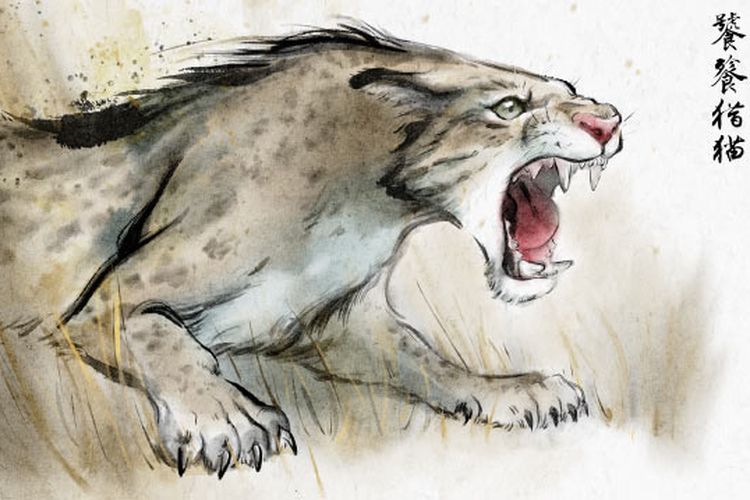 Penemuan spesies "kucing bertaring palsu" mengungkap rahasia evolusi predator purba