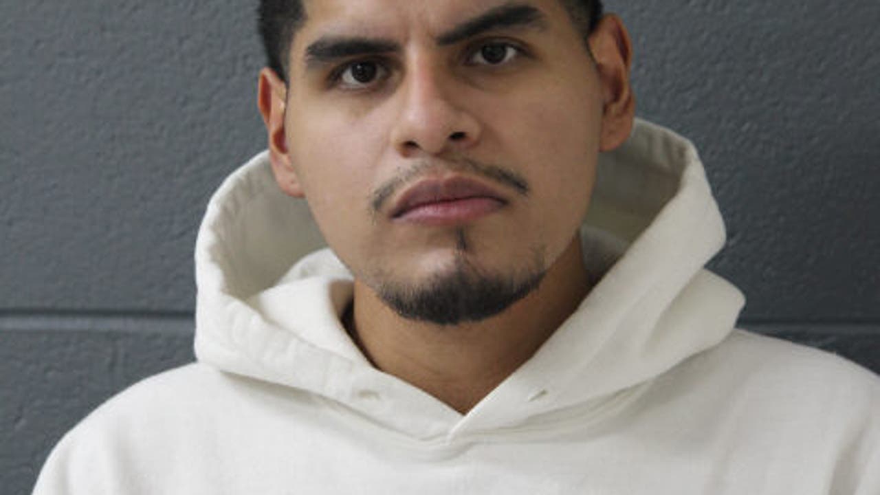 Suburban Chicago man charged with stabbing 73-year-old uncle to death