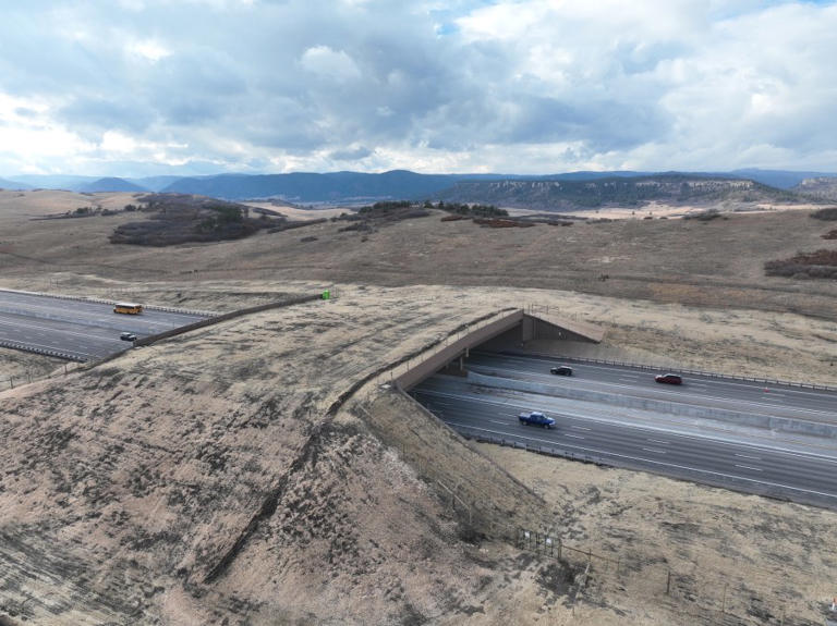 Largest wildlife overpass in US completed over I-25 near Larkspur: CDOT