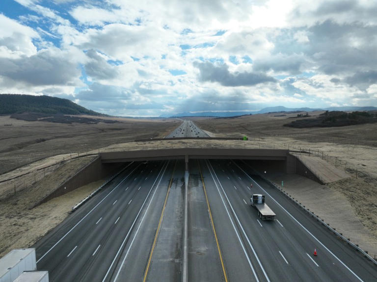 Largest wildlife overpass in US completed over I-25 near Larkspur: CDOT