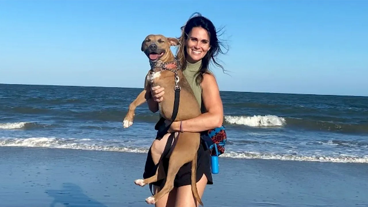 Georgia mom fighting for life after acid attack ambush as FBI, police search for assailant<br><br>