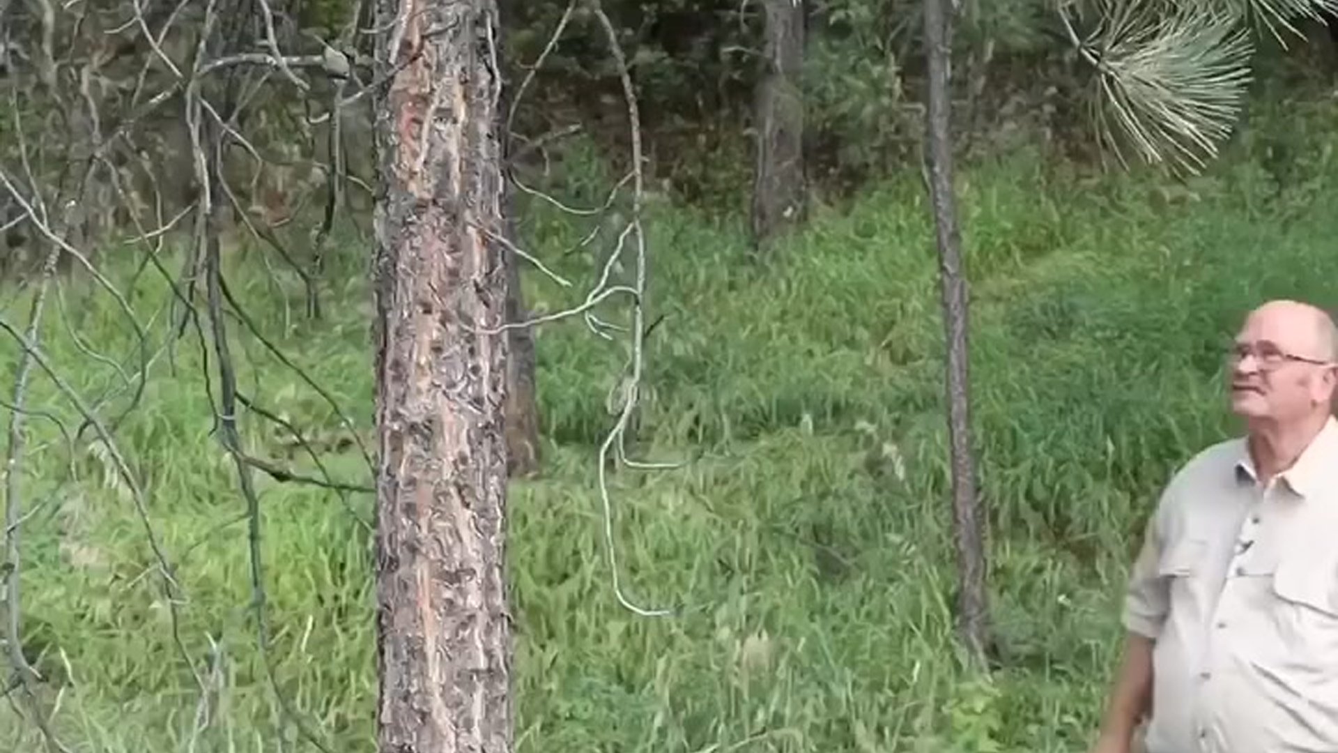Building a handcrafted shepherd’s axe