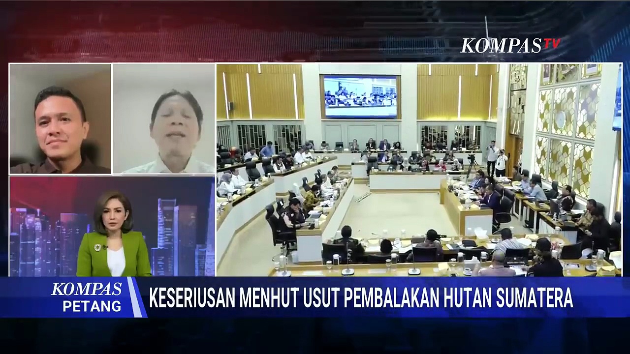 Kritik pedas! Greenpeace soal langkah Menhut usut pembalakan liar ...