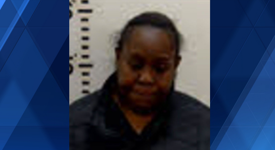 North Carolina woman charged with murder after 1-year-old dies in ...
