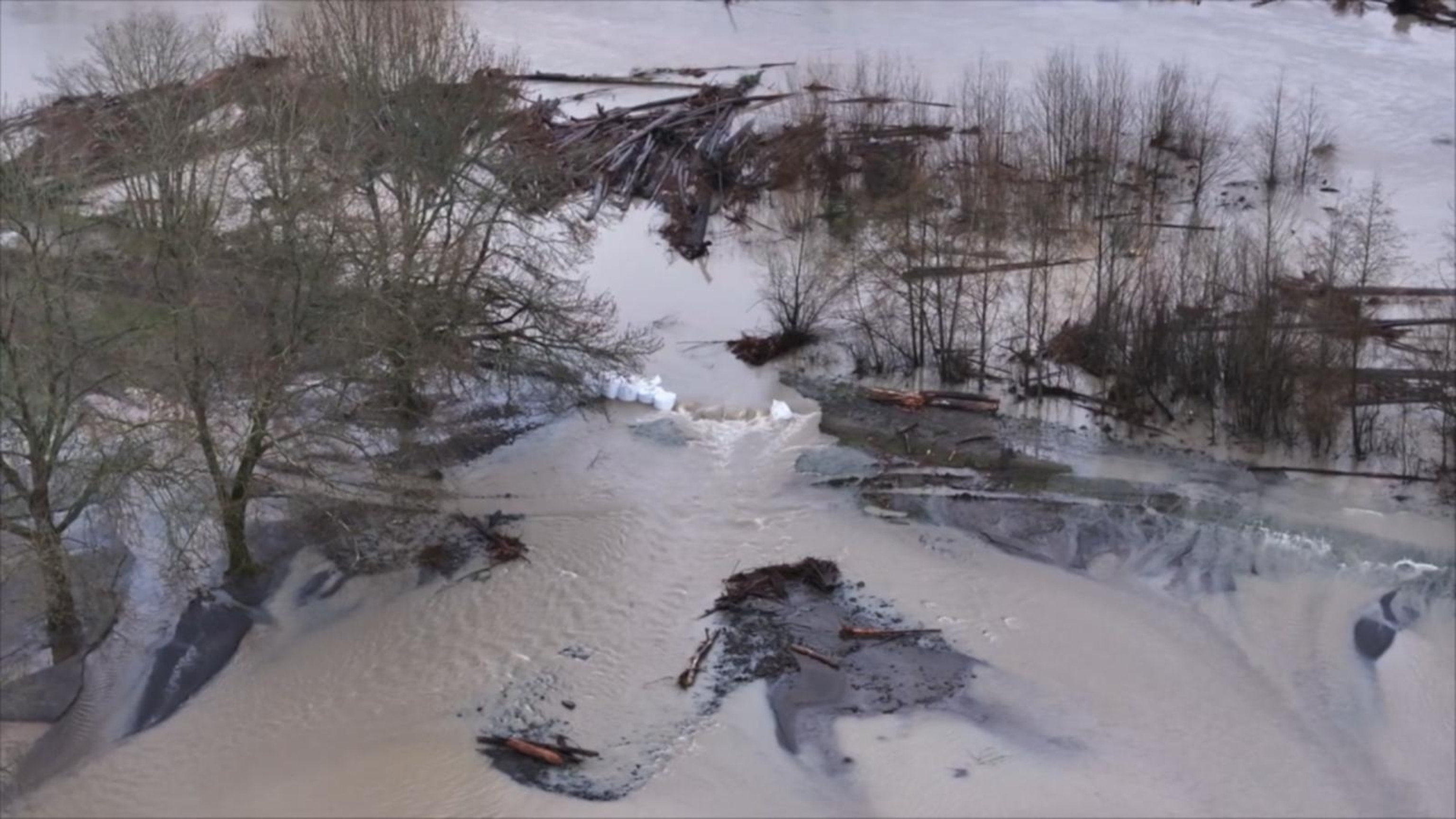 1 dead in Washington state flooding as levee breach prompts evacuations