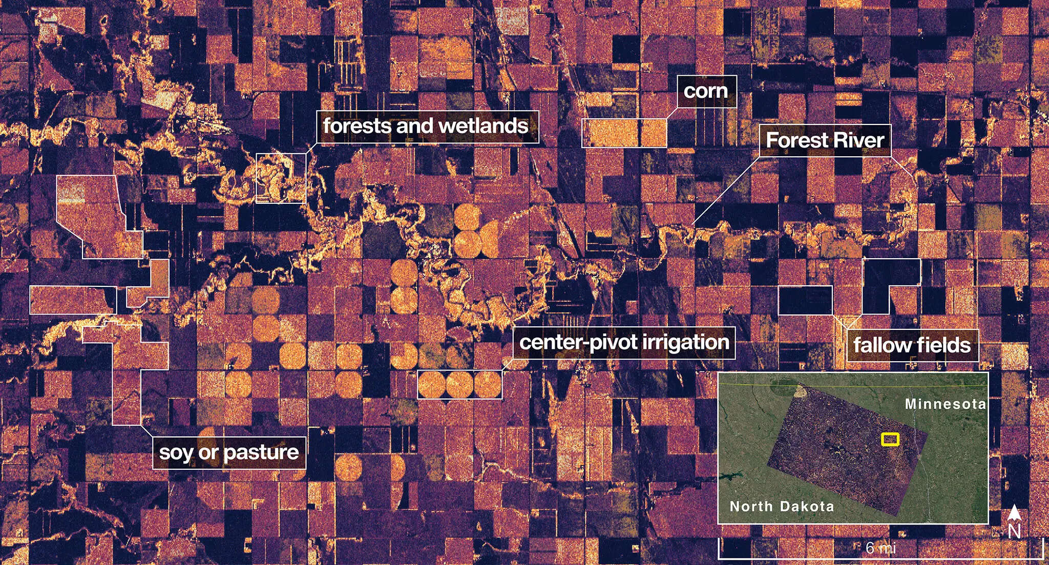 Every building on Earth mapped in 3D: New map shows 2.75 billion ...
