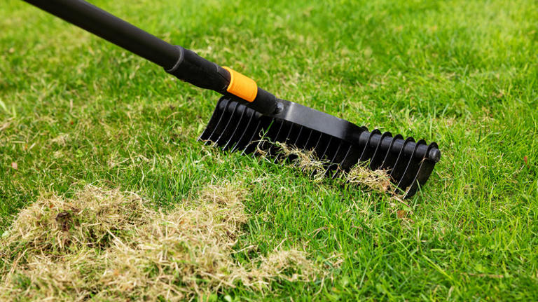 How to prepare your lawn for heavy rain