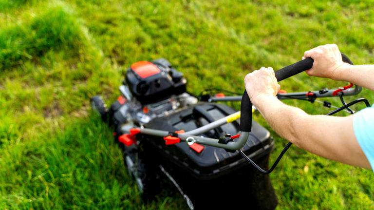 How to prepare your lawn for heavy rain