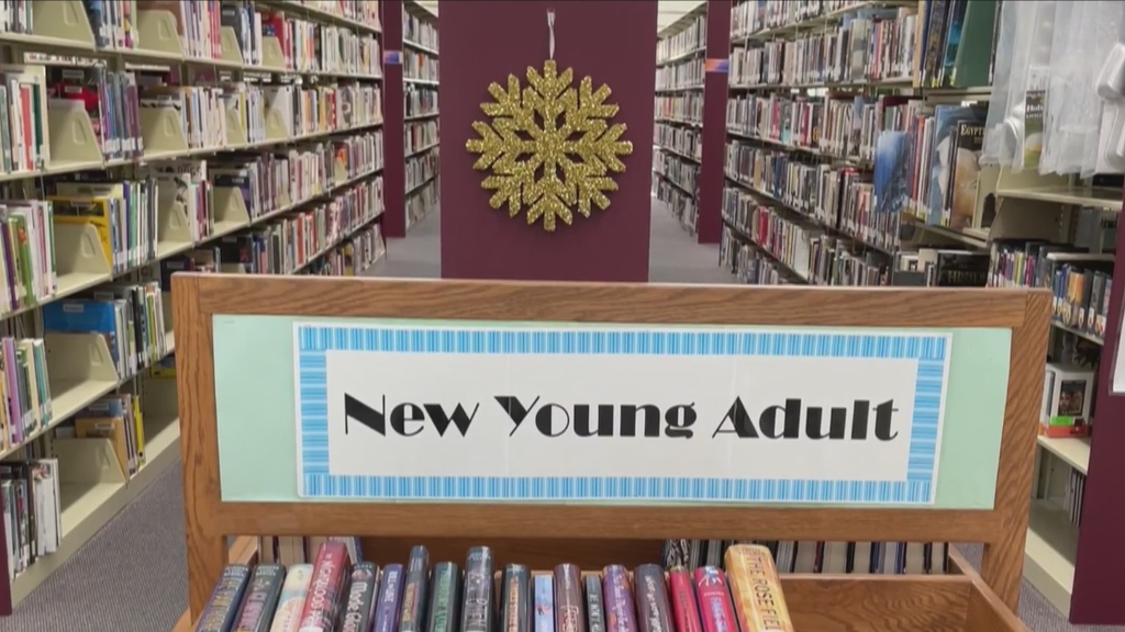 Murrysville Community Library launches new initiative as it undergoes ...