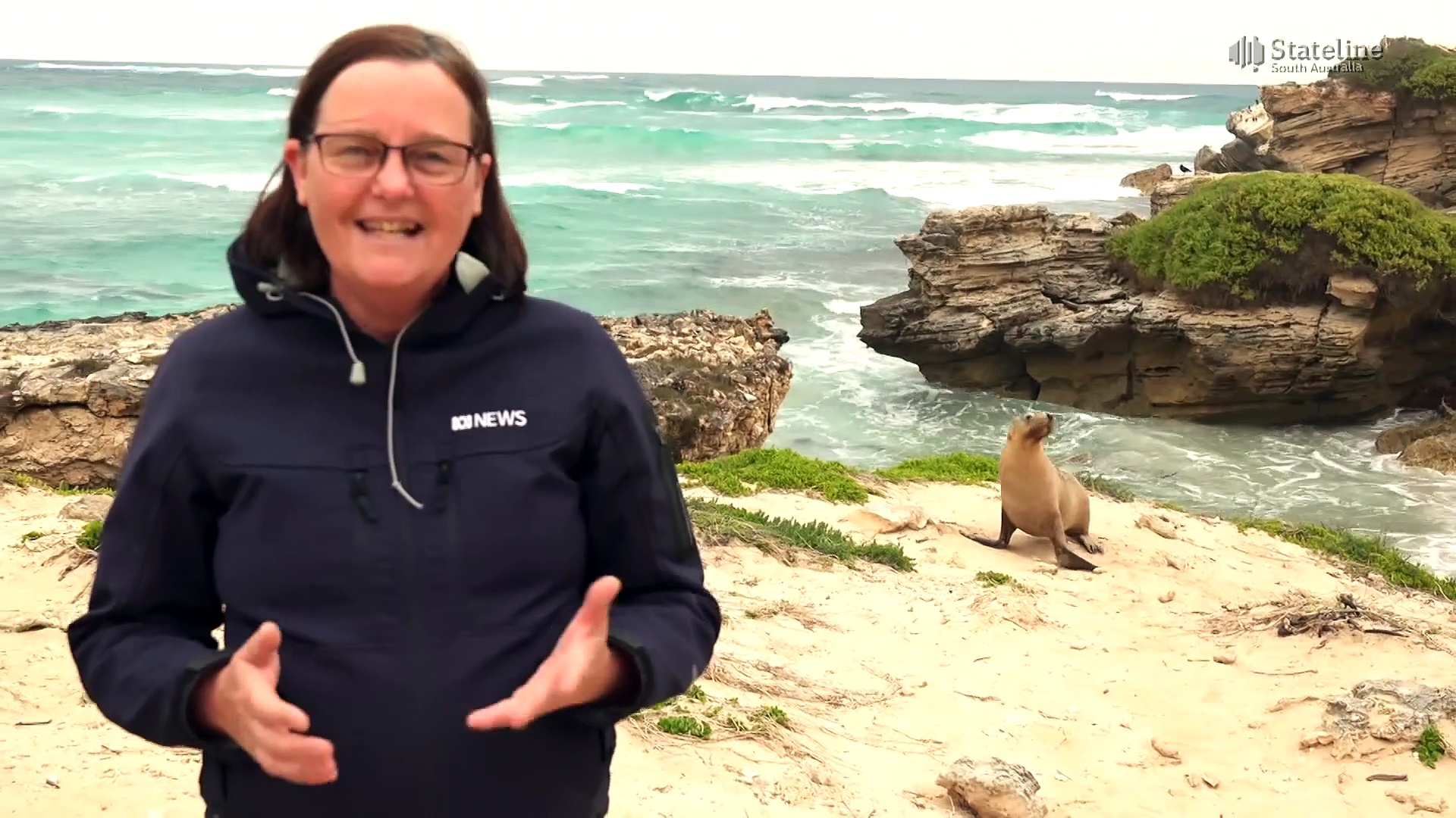 Ongoing algal bloom in South Australia contributes to spike in sea lion ...