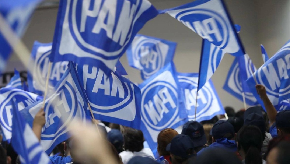 Perfilan para finales de noviembre selección de candidato del PAN por ...