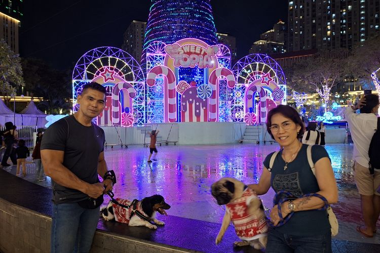 Di Bawah Pohon Natal 33 Meter, Taman Central Park Jadi Tempat Hewan Disambut