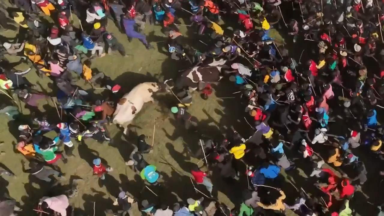 Kenyans unite around the country's growing bullfighting tradition
