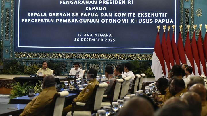 Alasan Prabowo Dorong Pengembangan Sawit di Papua