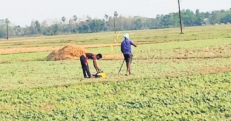 EU FTA: India sets minimum import price to safeguard farmers