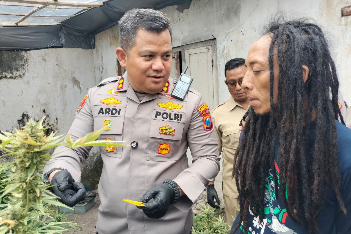 Polisi Bebaskan Fakta Baru Kasus Ganja di Kontrakan, Ternyata