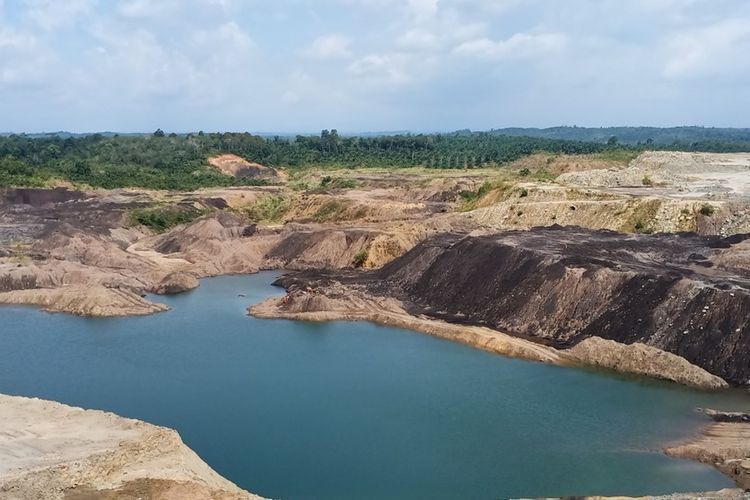 Belajar dari Banjir Sumatera, Bengkulu Wajibkan Penghijauan Tambang Kosong